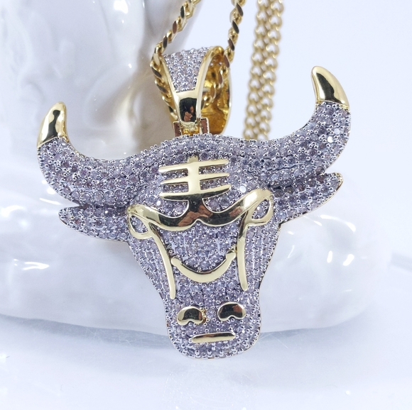 🧡 Iced Chicago Bull Pendant + Chain - Picture 5 of 8